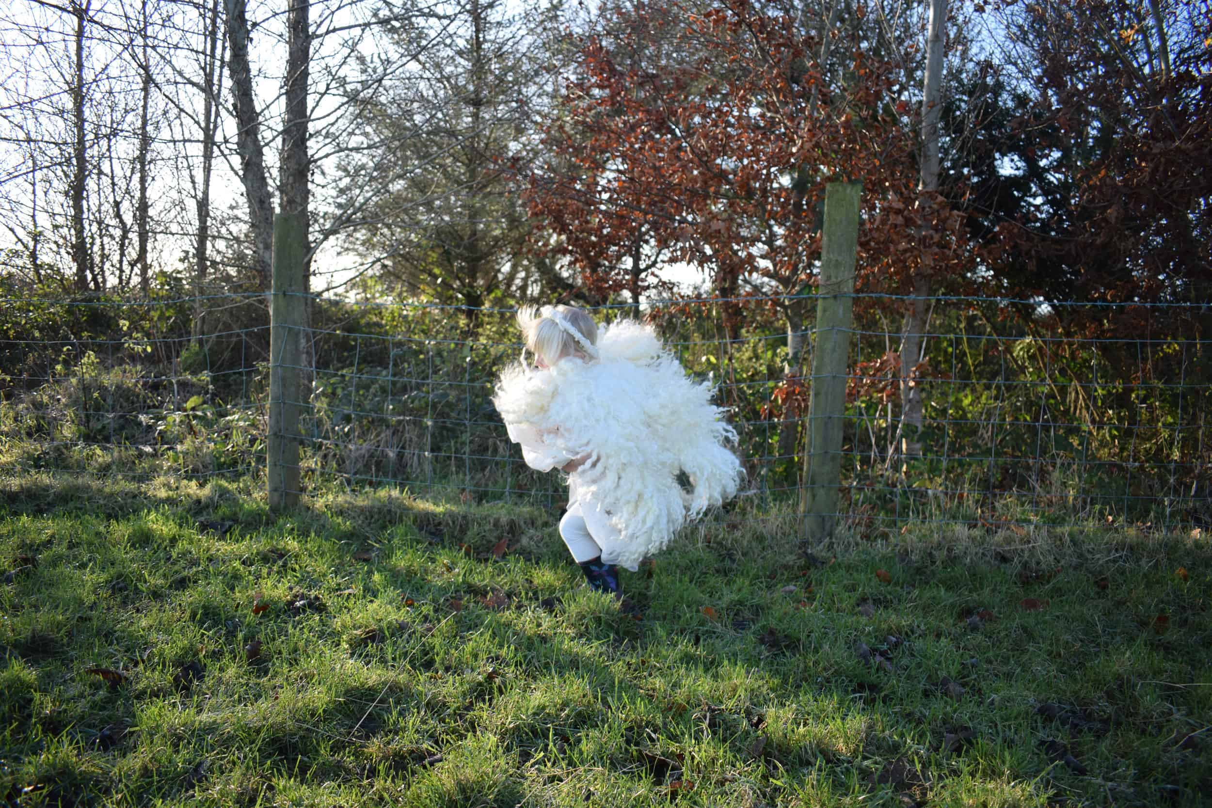 felted wool angel wings handmade greyface dartmoor wensleydale alice patchwork sheep