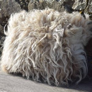 wild felted cushion wool