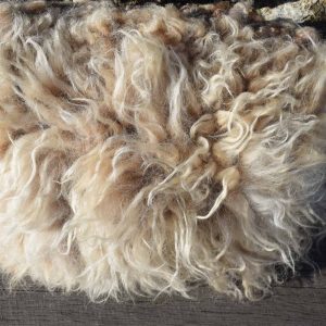 felted wool cushion