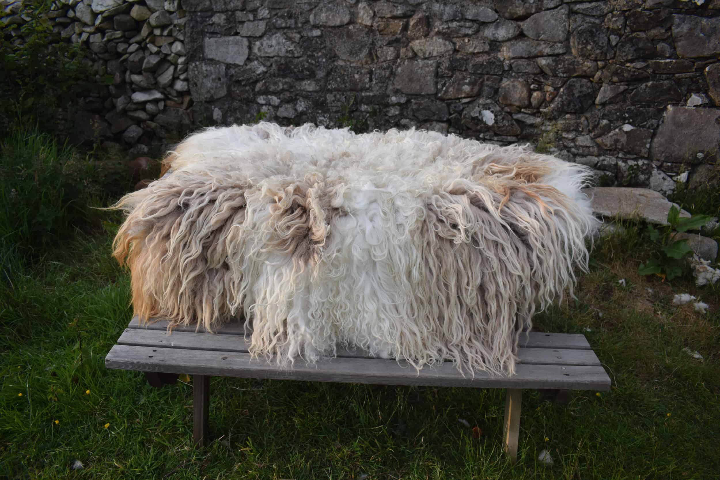 dandelion felted fleece rug