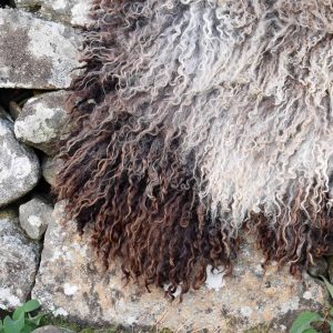 felted fleece rug