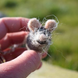 needle felted mouse gift