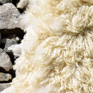 sheepskin rug