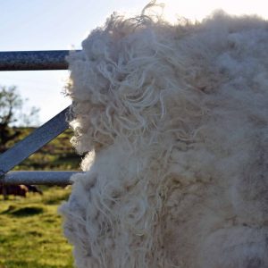 elder felted fleece rug