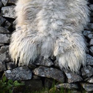 vegetarian sheepskin