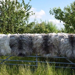 felted fleeces