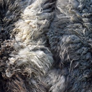 astrid ivar felted fleeces