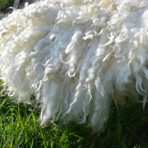 felted fleece sheepskin alice