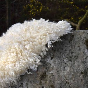 white felted fleece