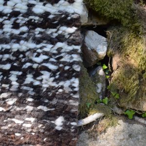 natural handmade peg loom woven wool rug