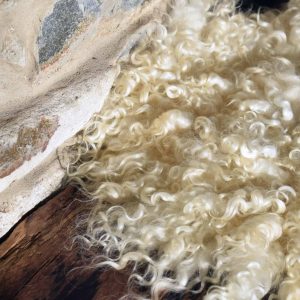 curly cream sheepskin