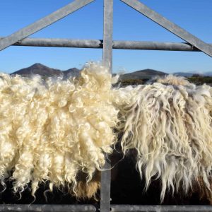felted wool sheepskin