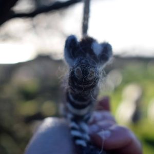 zebra needle felt