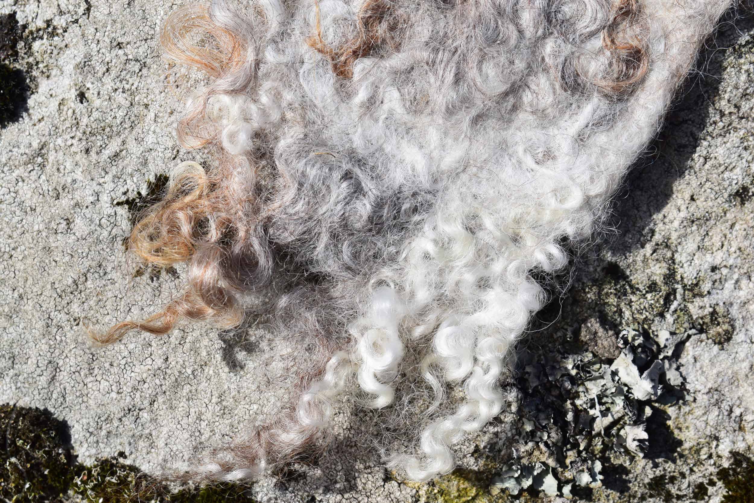 wild felted wool bookmark stone eco natural ethical folk art handmade gift 1 natural wool bookmark