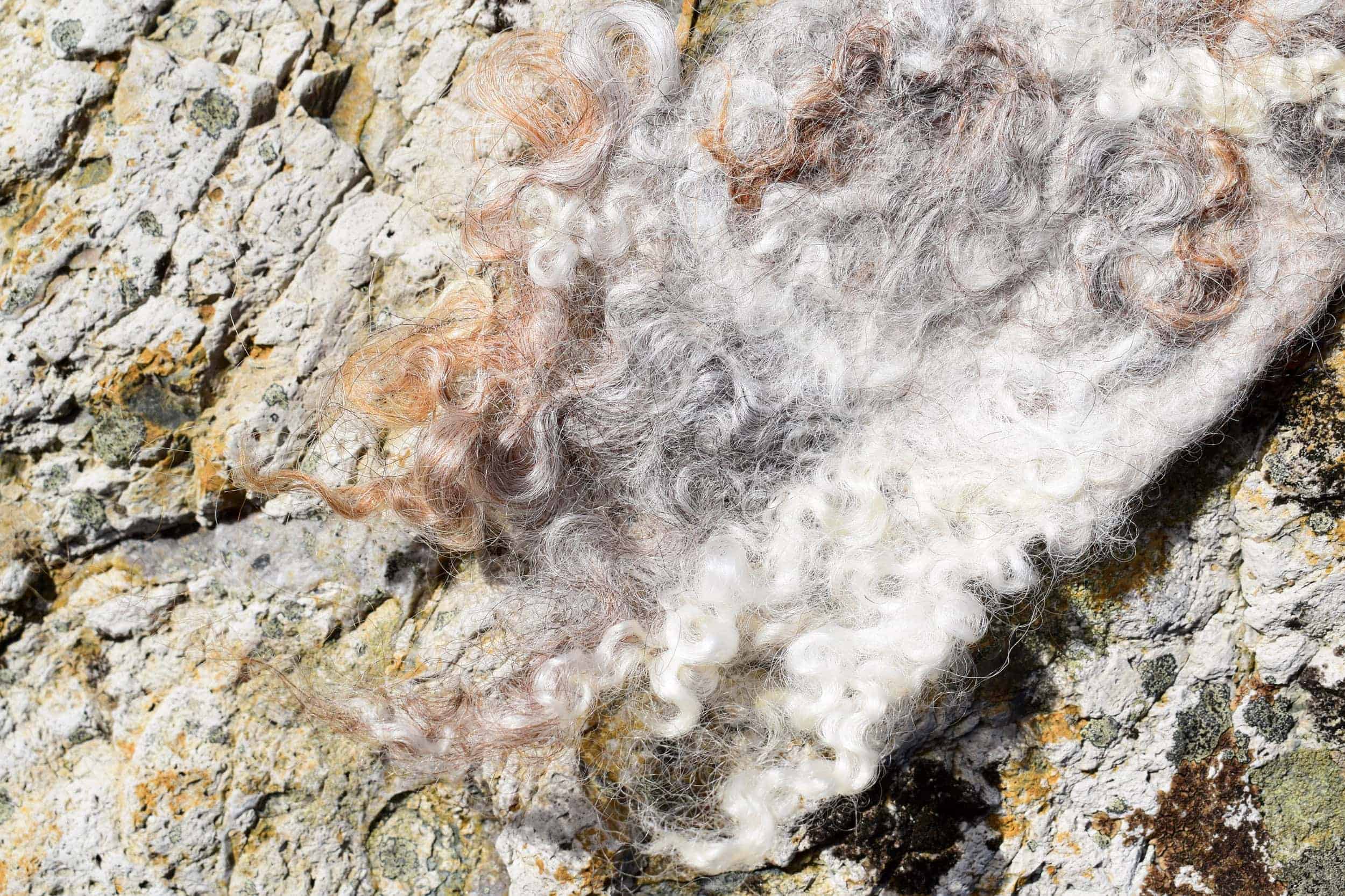 wild felted wool bookmark stone eco natural ethical folk art handmade gift 6 natural wool bookmark