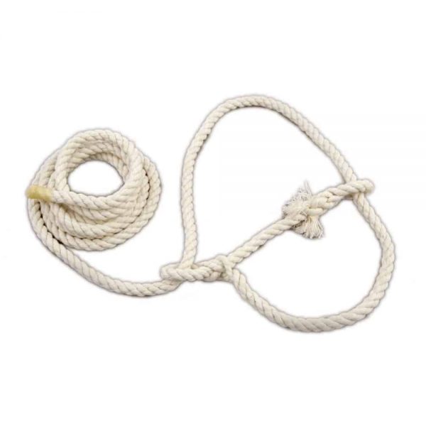 Sheep and Lamb halter cotton