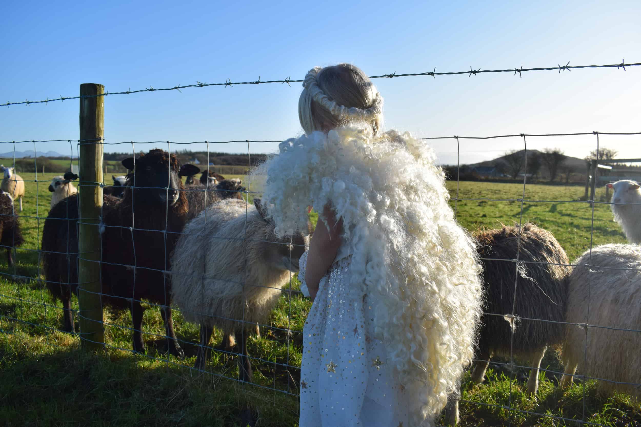 felted wool angel wings handmade greyface dartmoor wensleydale alice patchwork sheep 2