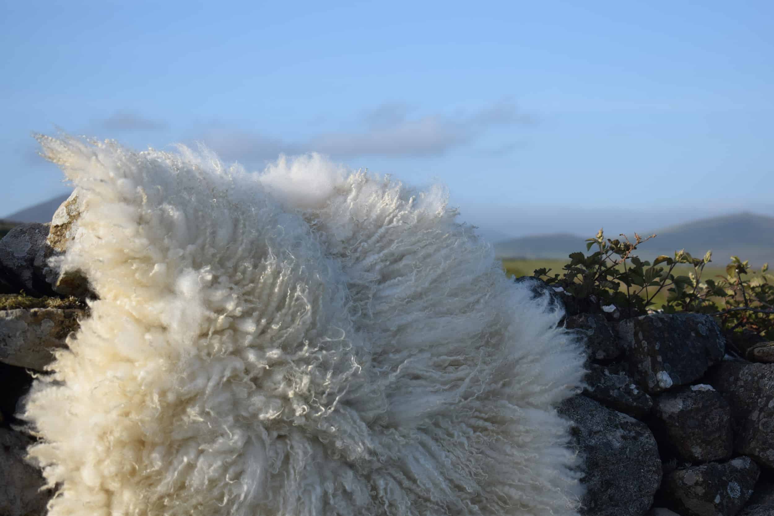 Nym felted fleece vegetarian sheepskin wool rug white cream icelandic cross wensleydale lamb ethical natural bespoke gwynedd wales