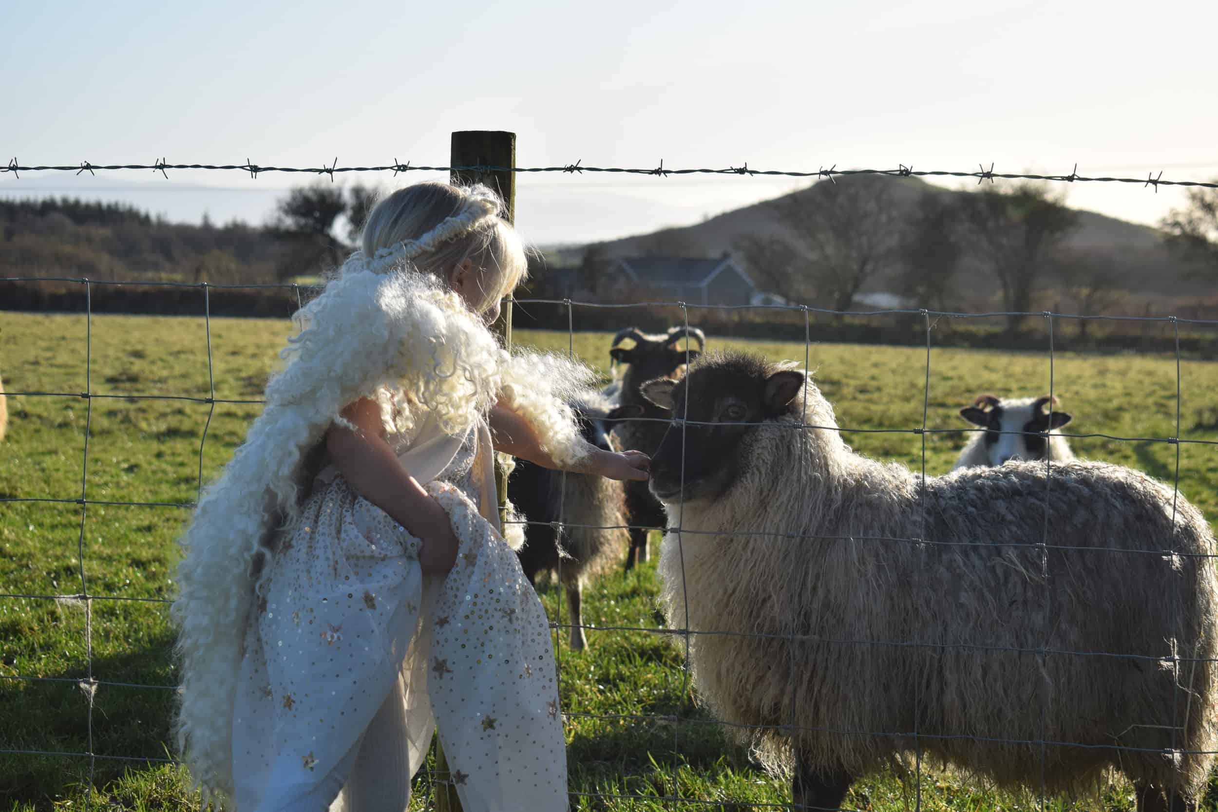Elder meets angel elsie angel wings wool handmade icelandic sheep crossbreed 2