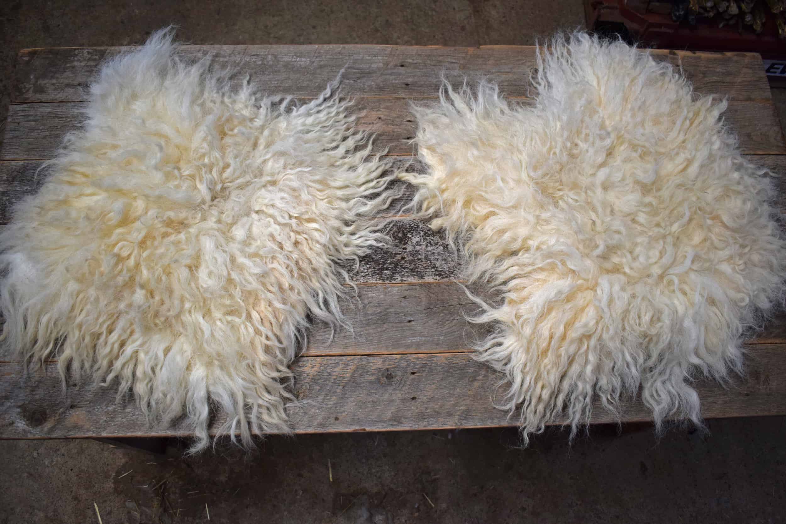 felted fleece seat pads vegetarian sheepskin nora valais blacknose cross greyface dartmoor silvernose wool covers