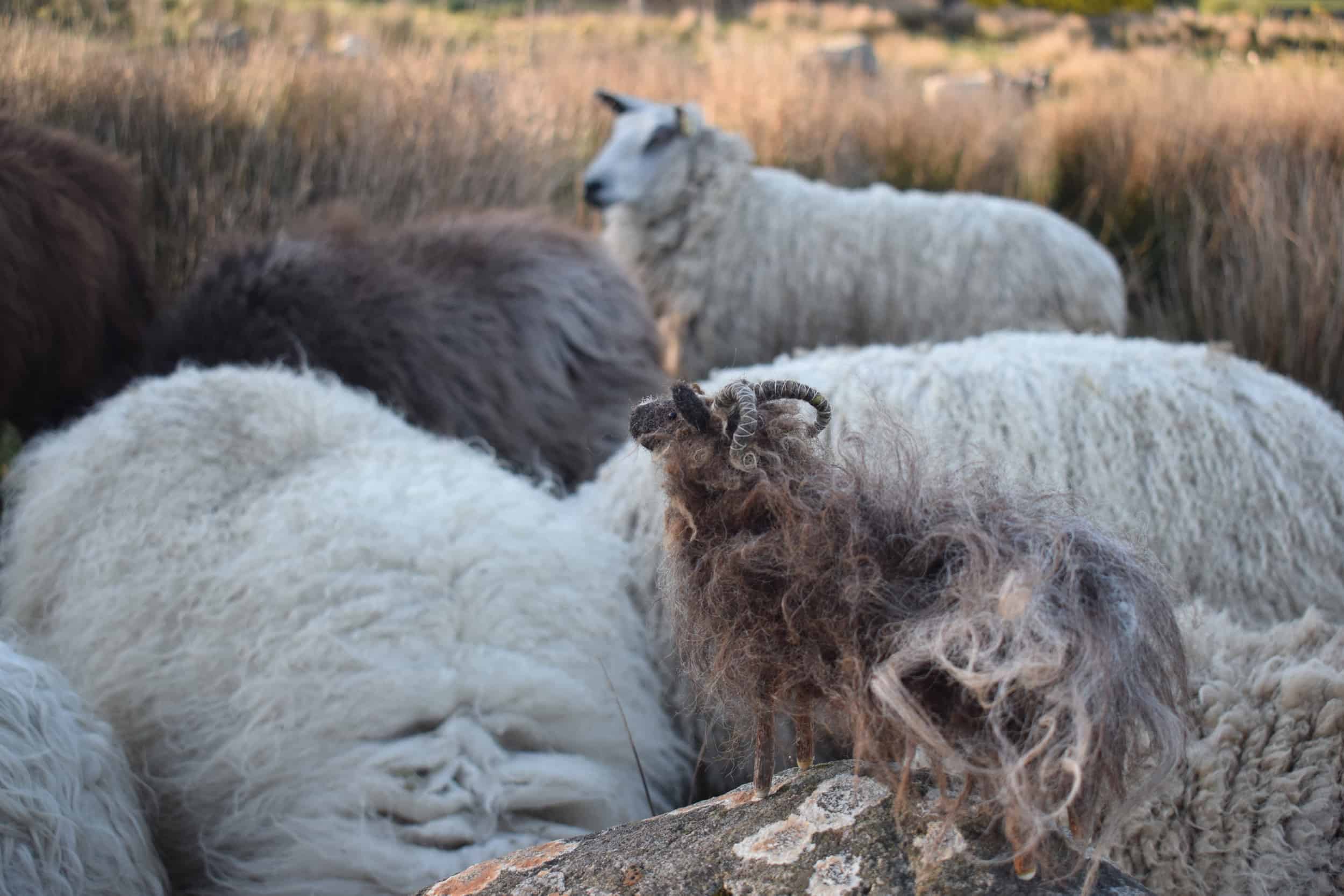 Magic rock mini needle felted sheep handmade woolsheep jacob cross shetland magical patchwork sheep