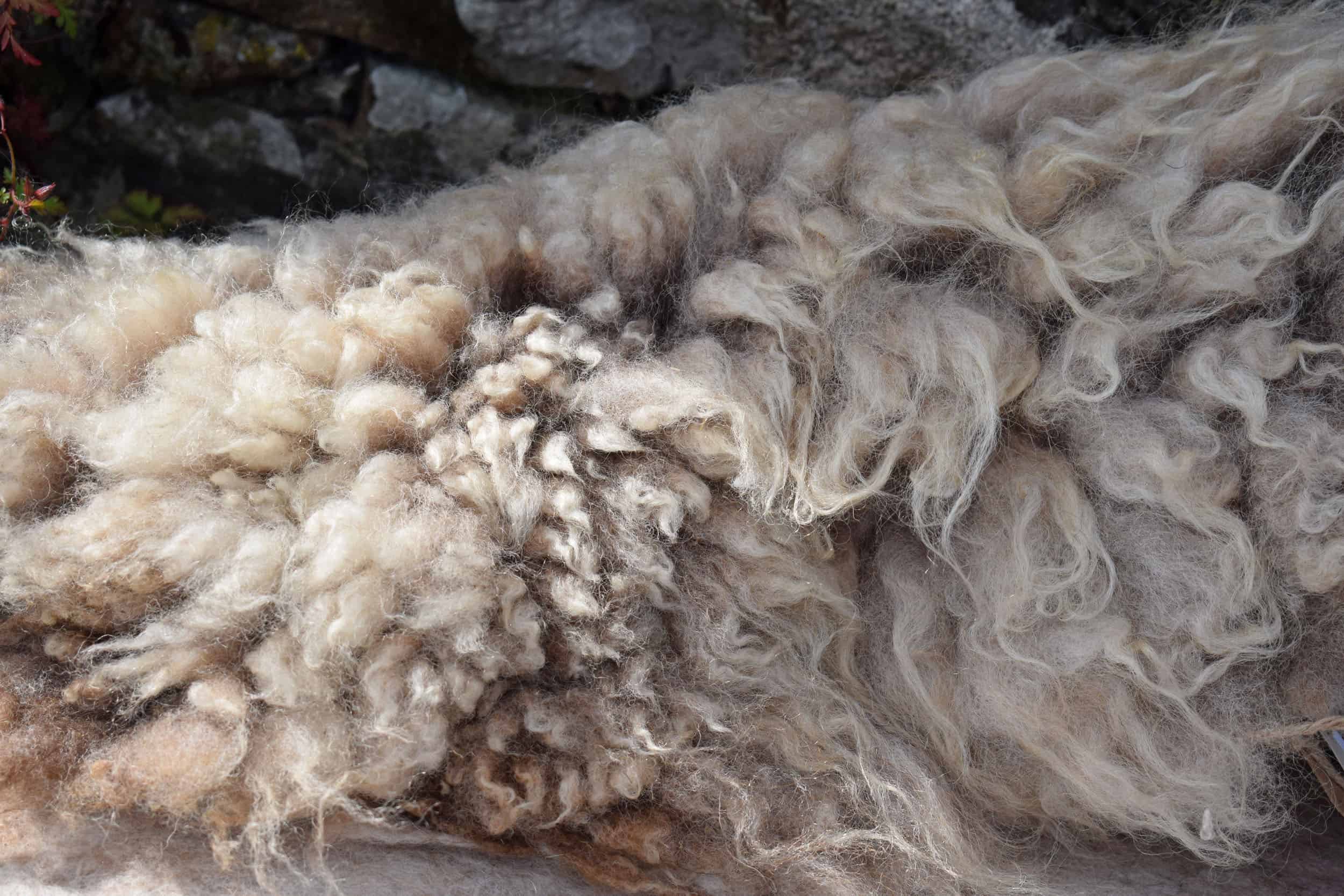 Felted fleece vegetarian sheepskin wool seat pad brown harriet ethical kind fiber