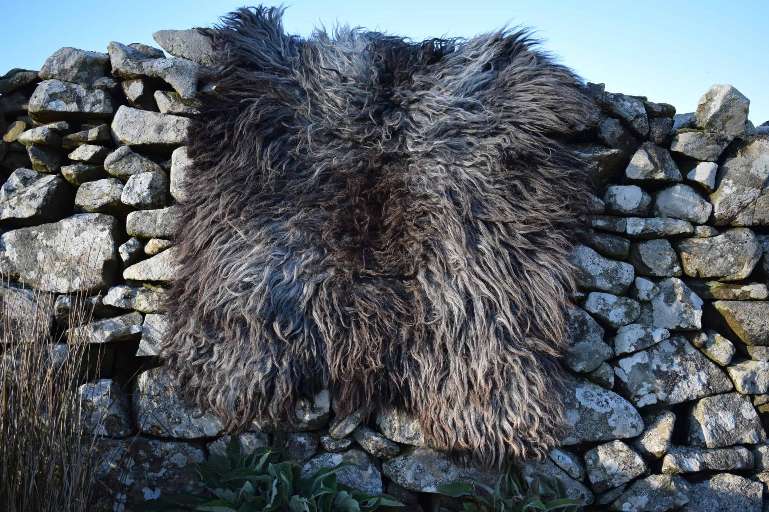 Gem felted fleece rug grey vegetarian sheepskinethical kindblack welsh mountain jacob shetland cross sheeo wild hairy black beauty
