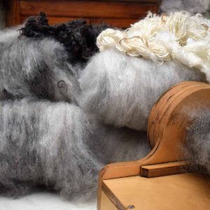 carded wool
