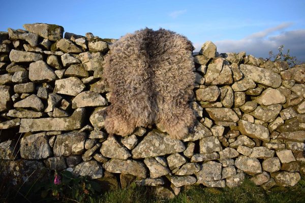 vegetarian sheepskin