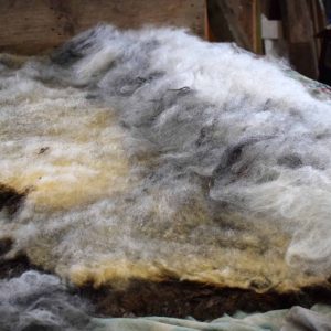 wet felting a fleece rug