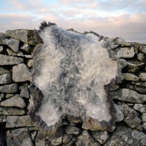amazing fleece felt rug