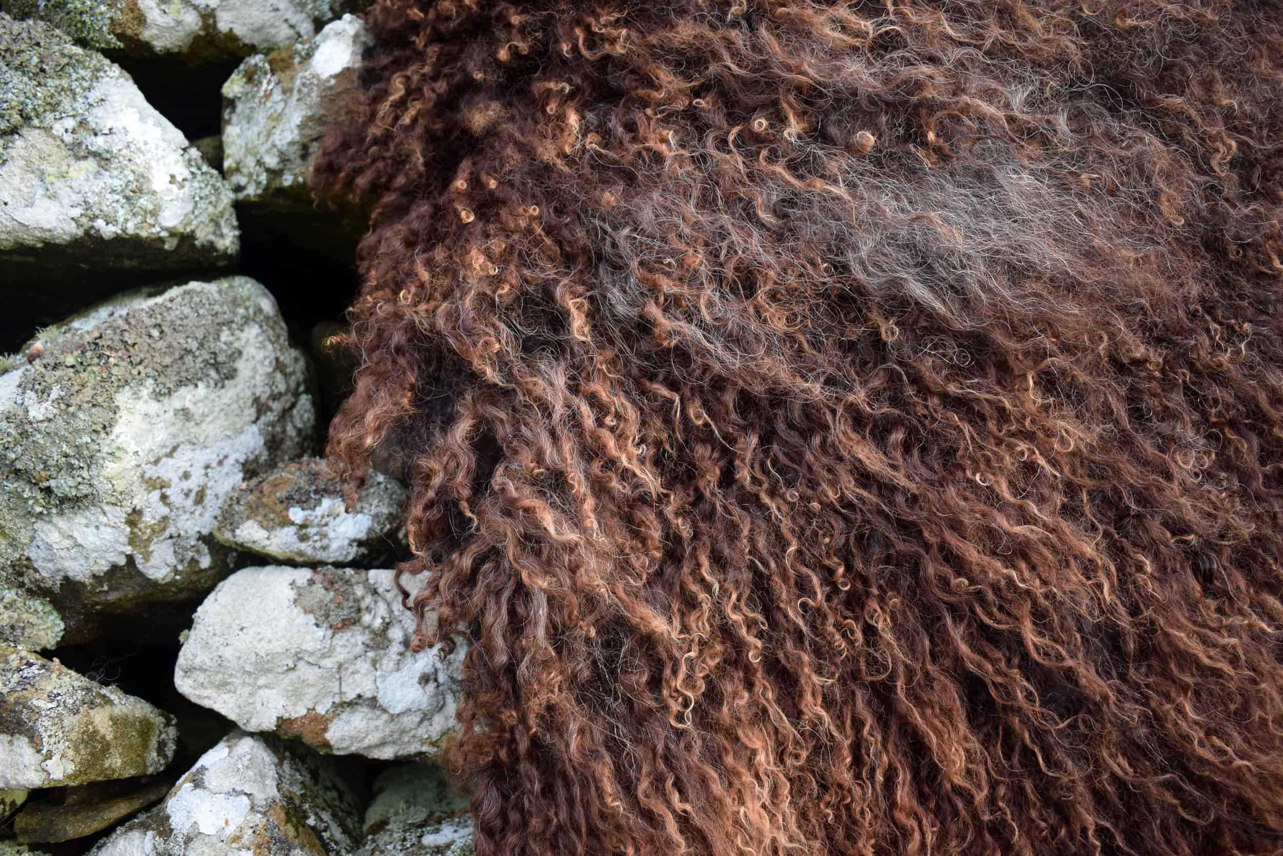 curly sheepskin rug
