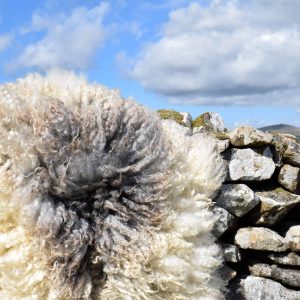 felted fleece sheepskin florence