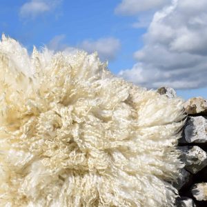 felted sheep fleece rug