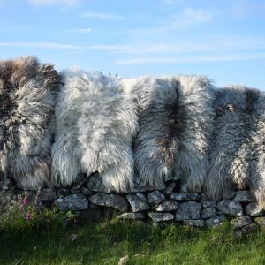 felted sheep fleece rugs