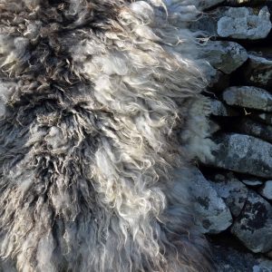 fleece wool rug