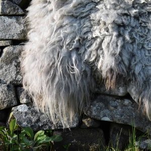 astrid felted fleece rug