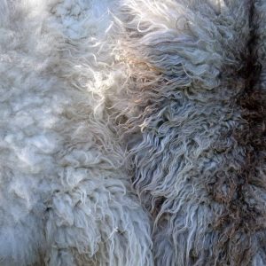 felted fleece