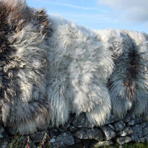 slate grey fleece rugs