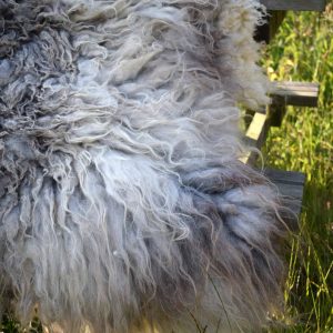 grey fleece rug