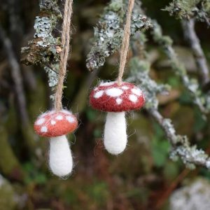 magic mushroom gifts
