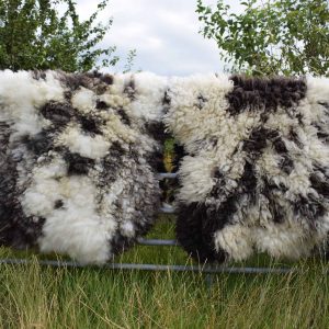 felted sheepskin wool rug
