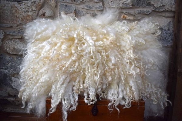 felted fleece wool cushion