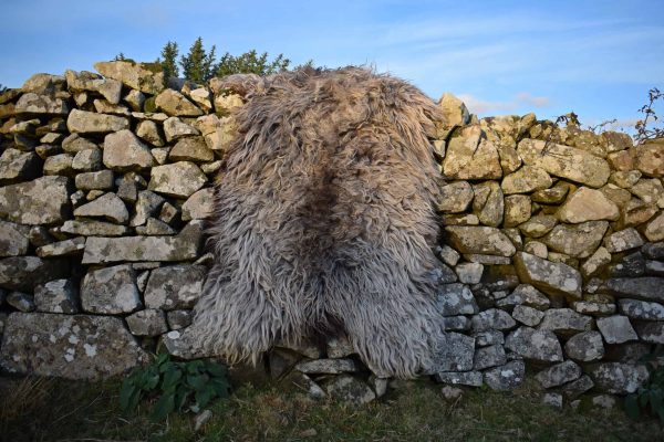 wild felted fleece