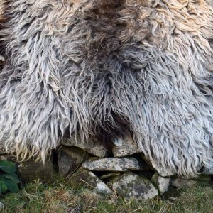 wild felted fleece