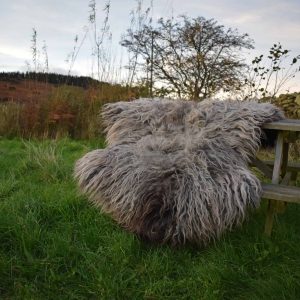 wild vegetarian sheepskin rug