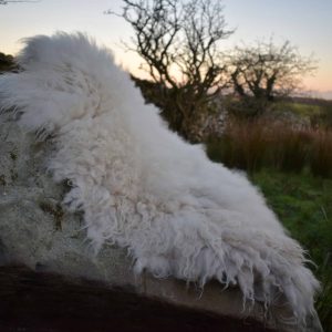 Natural felted fleece wool rug