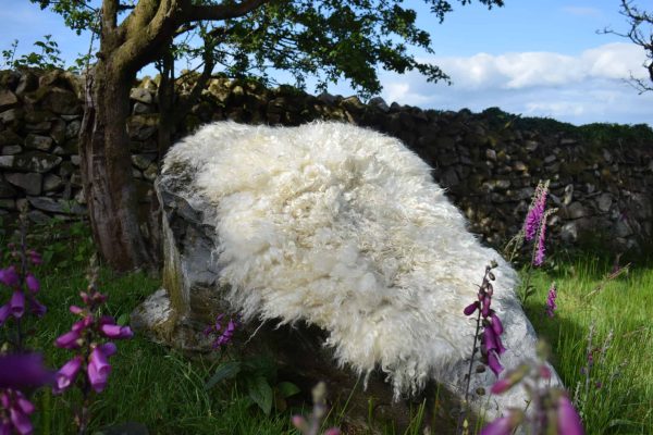 felted fleece sheepskin