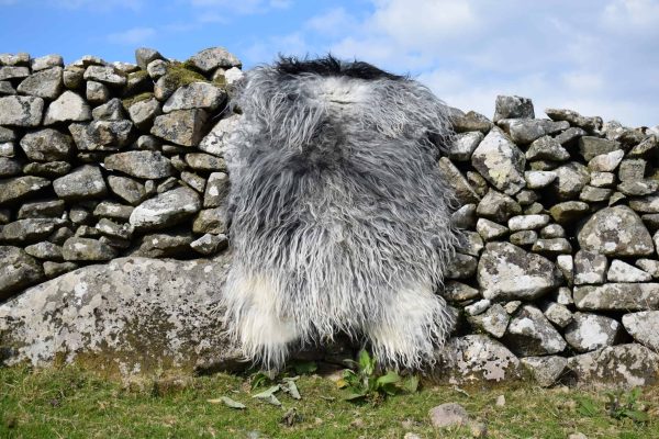 grey icelandic felted fleece