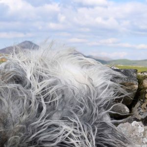 grey icelandic felted fleece
